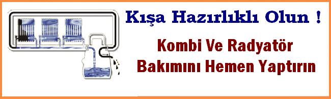 Malatya petek temizleme